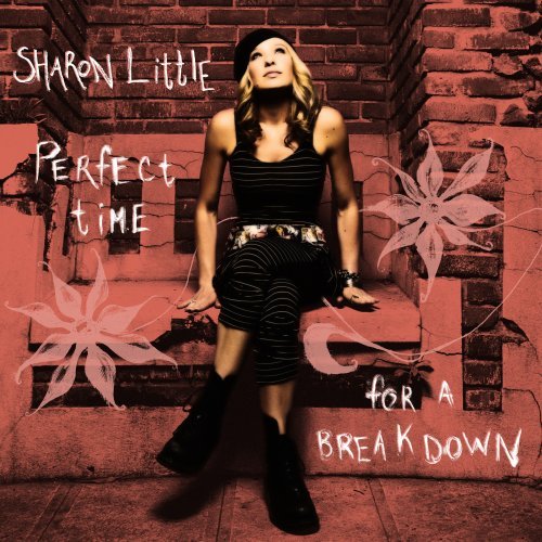 Sharon Little/Perfect Time For A Breakdown