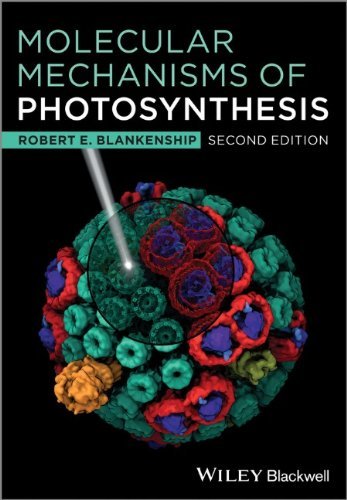 Robert E. Blankenship Molecular Mechanisms Photosynt 0002 Edition; 