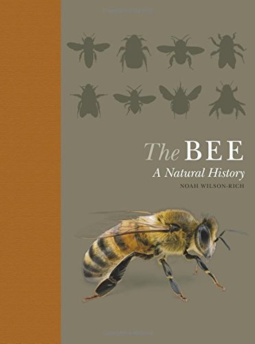 Noah Wilson Rich The Bee A Natural History Quigley 