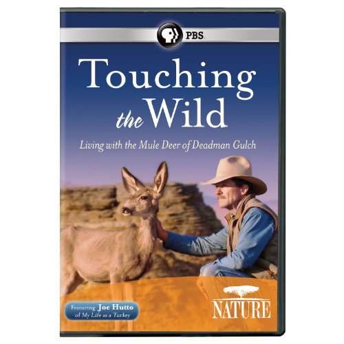 Nature: Touching the Wild - Living With Mule Deer/Nature: Touching the Wild - Living With Mule Deer
