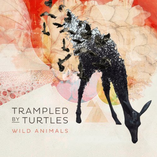 Trampled By Turtles/Wild Animals