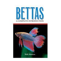 Bettas A Complete Introduction Guidebook Medium 
