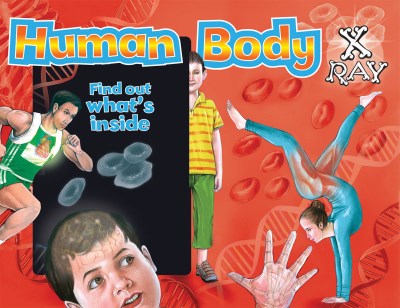 The Book Company Editorial Human Body X Ray Find Out What's Inside 