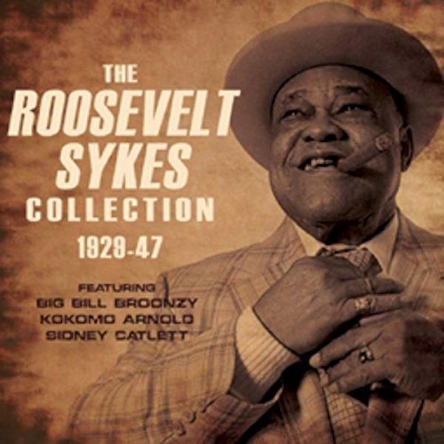 Roosevelt Sykes Collection 1929 47 3cd 