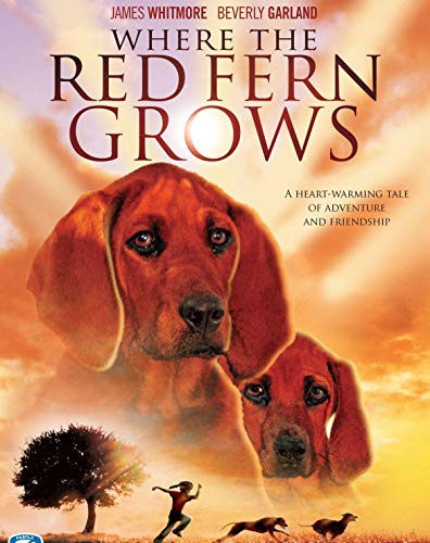 Where The Red Fern Grows Pt. 1/Where The Red Fern Grows Pt. 1@DVD MOD@This Item Is Made On Demand: Could Take 2-3 Weeks For Delivery