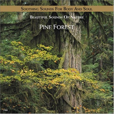Pine Forest/Pine Forest