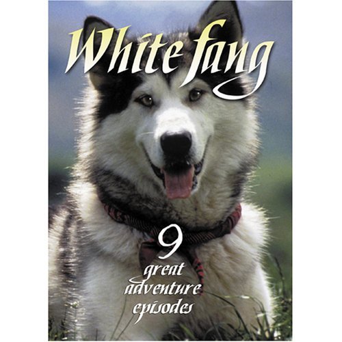 White Fang Woolvett Jaimz DVD Nr 