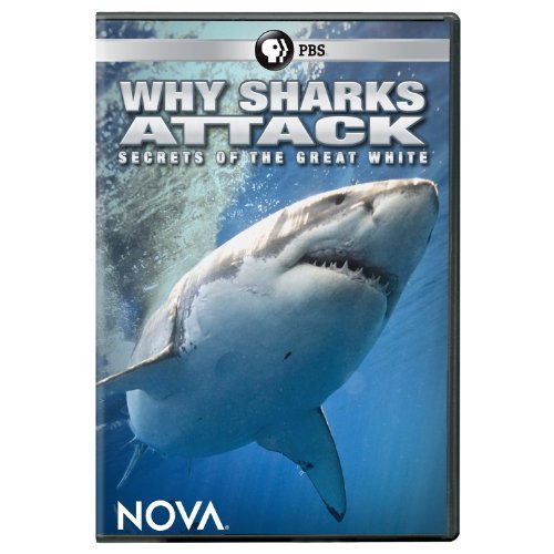 Nova/Why Sharks Attack@Dvd
