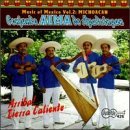 Conjunto Alma De Apatzingan/Vol. 2-Michoacan-Arriba Tierra