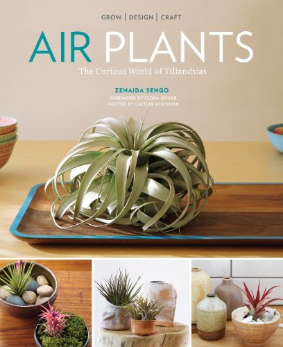 Zenaida Sengo/Air Plants@ The Curious World of Tillandsias