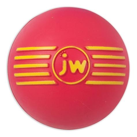 JW Dog Toy - iSqueak Ball