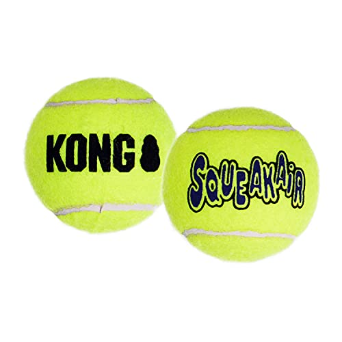 Squeakair Tennis Ball, Large, 1