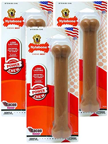 Nylabone DuraChew Bacon Flavor Bone Dog Toy
