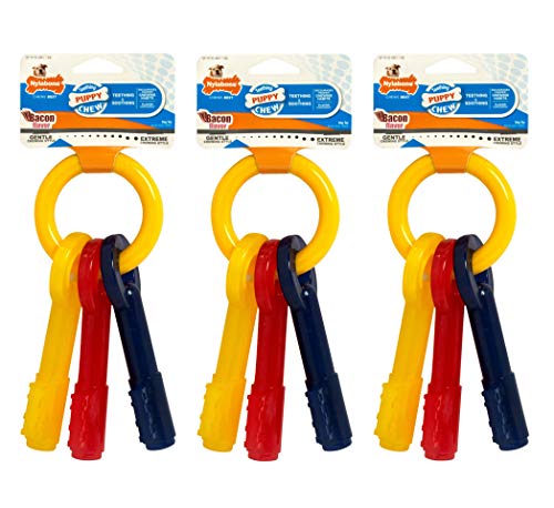 Nylabone Dog Toy - Puppy Teething Keys
