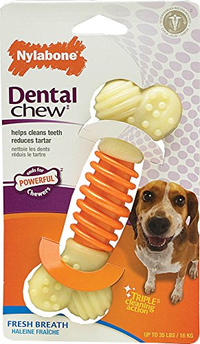 Nylabone Dental Pro Action Chew - Bacon