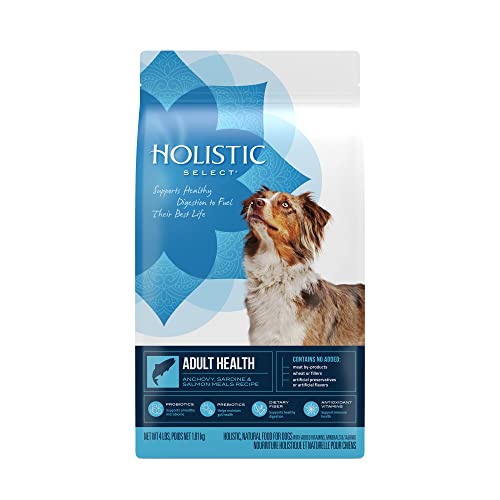 Holistic Select® Adult Health Anchovy & Sardine and Salmon Meal Recipe Dog Food