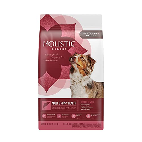 Holistic Select® Grain Free Adult and Puppy Health Salmon Anchovy & Sardine Meal Recipe Dog Food