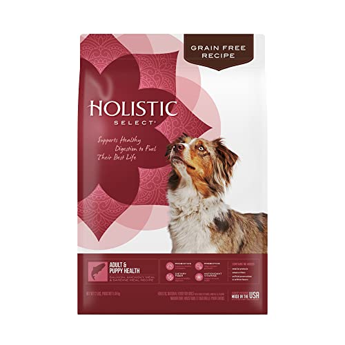 Holistic Select Dog Food - Adult & Puppy Salmon, Anchovy & Sardine
