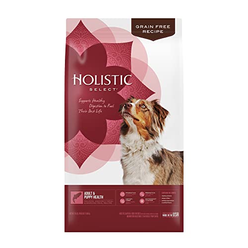 Holistic Select® Grain Free Adult and Puppy Health Salmon Anchovy & Sardine Meal Recipe Dog Food
