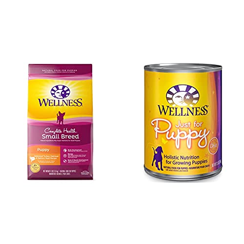 Wellness® Complete Health™ Deboned Turkey, Oatmeal & Salmon Meal Recipe Small Breed Puppy Dog Food 4 Lbs