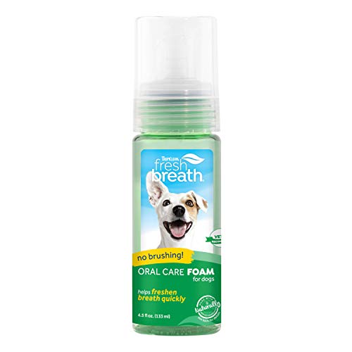 TropiClean Fresh Breath Oral Care Foam-Mint