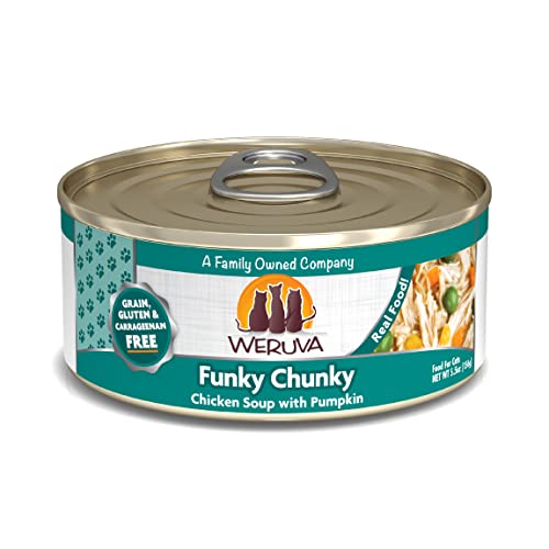 Weruva Funky Chunky Chicken Soup With Pumpkin for Cats