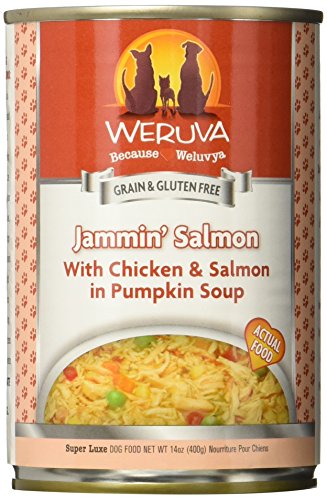 Weruva Jammin' Salmon with Chicken & Salmon in Pumpkin Soup for Dogs