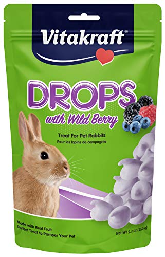 Vitakraft® Drops with Wild Berry Treat for Pet Rabbits