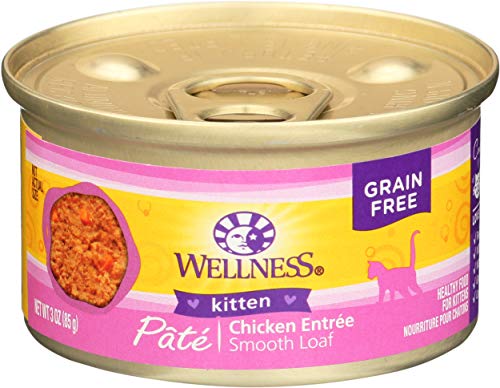 Wellness Complete Health Pâté Kitten Recipe