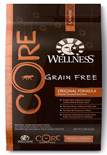 Wellness Dog Food - Core Original