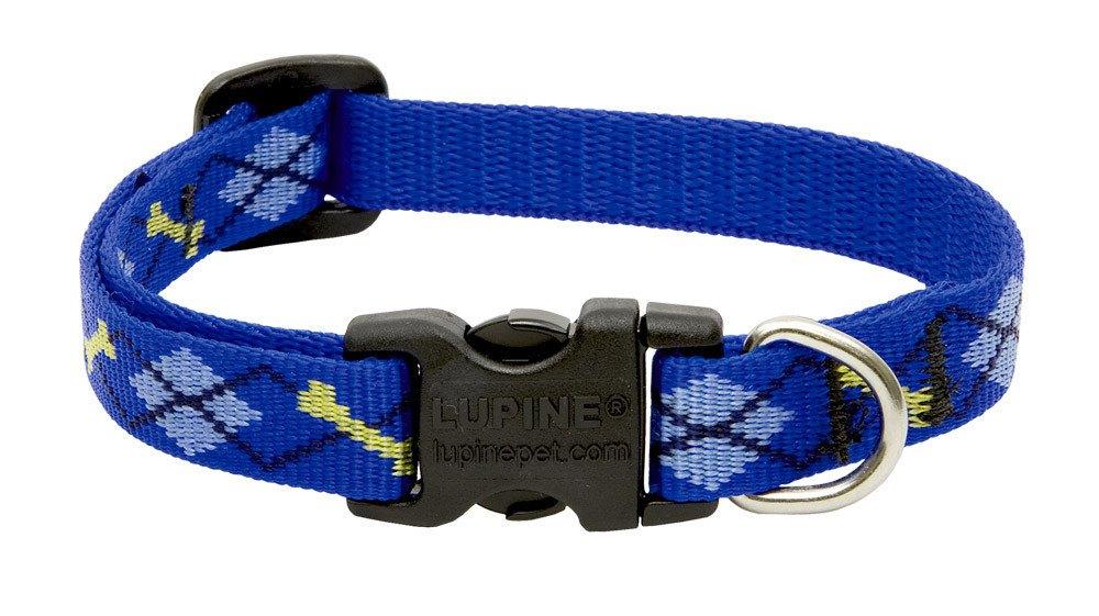 Lupine Dog Collar - Dapper Dog-1/2" Wide