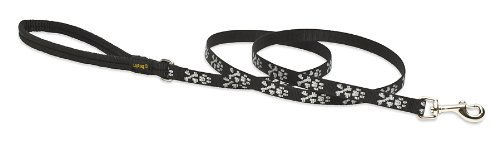 Lupine Pet Original Designs Dog Leash 6'-Bling Bonz