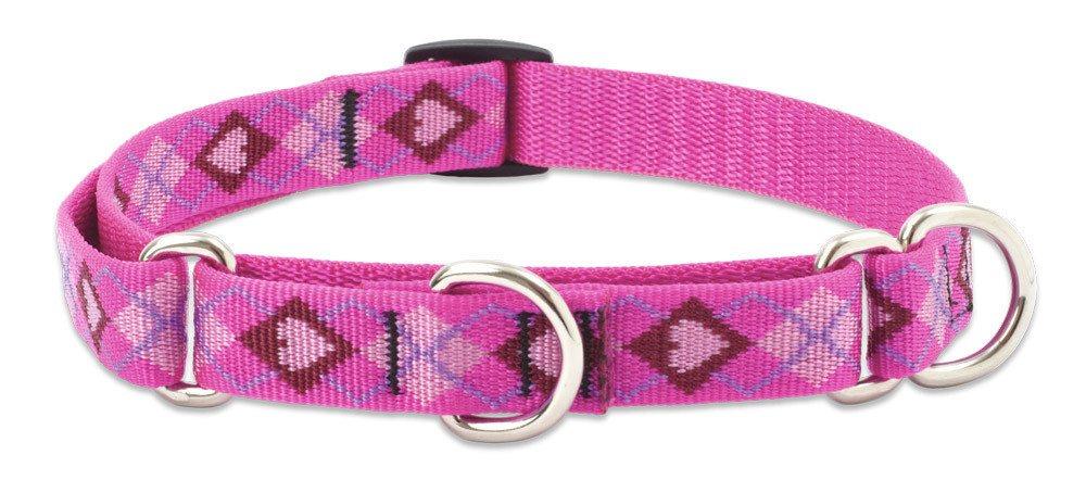 Lupine Combo Collar - Puppy Love-3/4" Wide