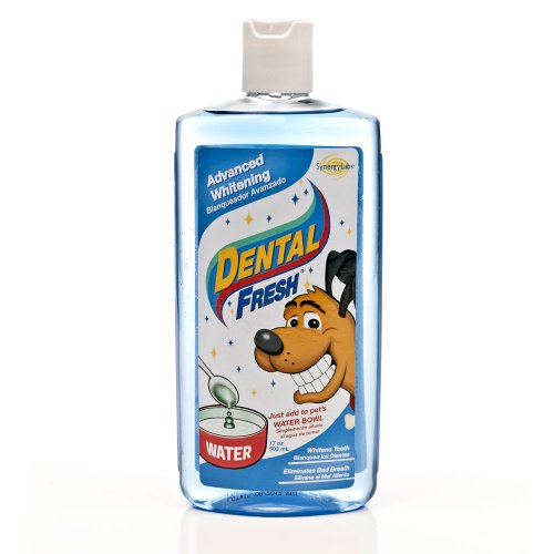 Synergy Labs Dog Water Additive - Dental Fresh