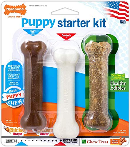 Nylabone Dog Toy - Puppy Starter Kit - Chicken