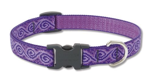 Lupine Dog Collar - Jelly Roll-3/4" Wide
