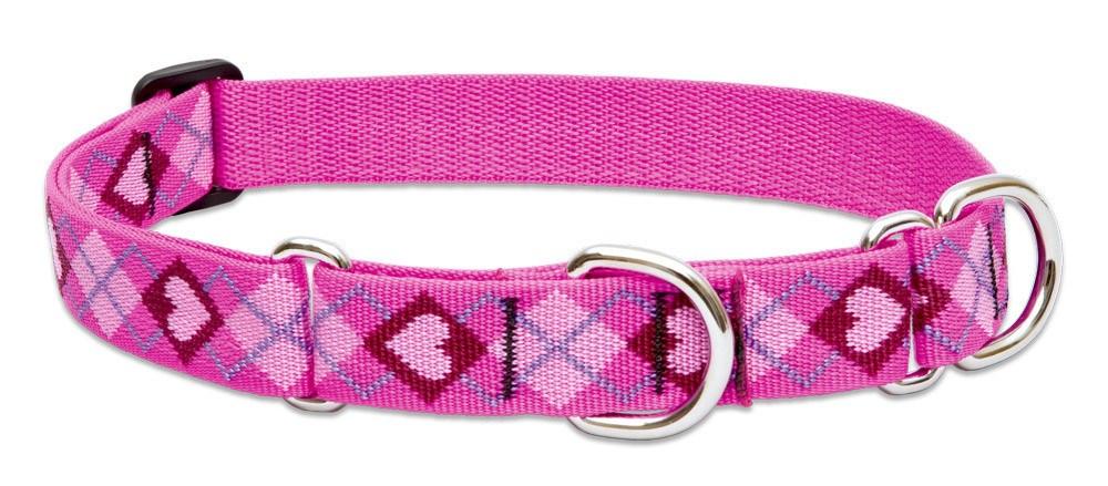 Lupine Combo Collar - Puppy Love-1" Wide