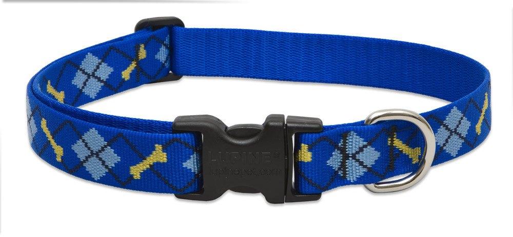 Lupine Dog Collar - Dapper Dog-1" Wide