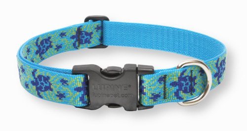Lupine Dog Collar - Turtle Reef