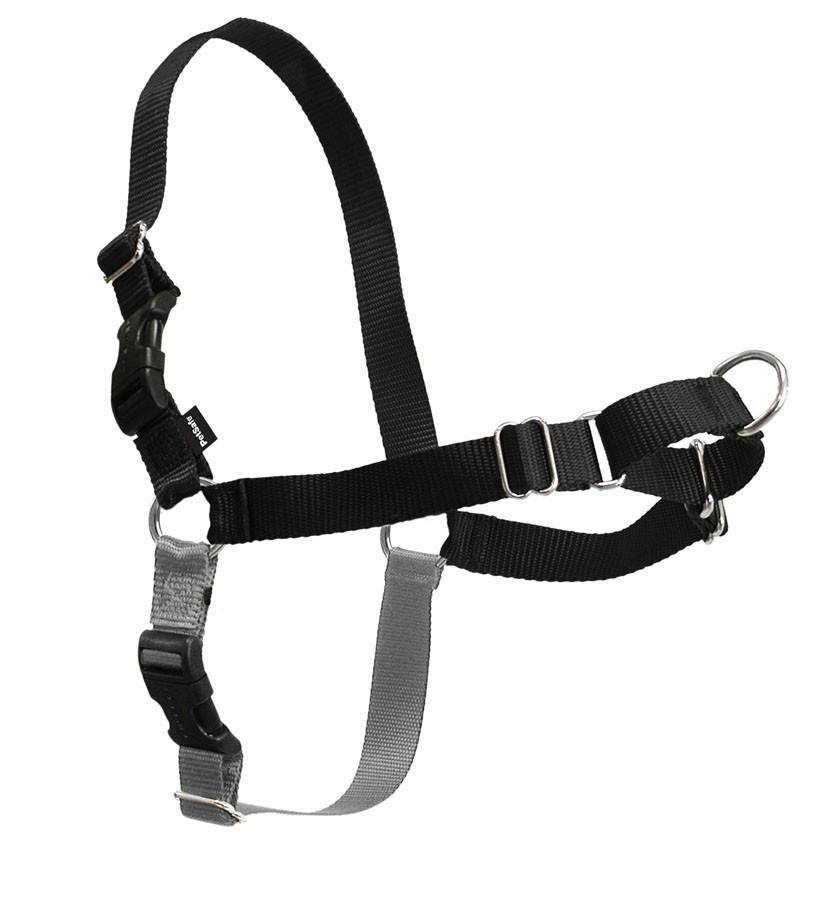 PetSafe Easy Walk Harness - Black