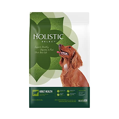 Holistic Select® Adult Health Lamb Meal Recipe Dog Food