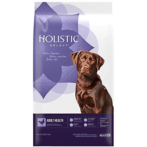 Holistic Select® Adult Health Chicken Meal & Rice Recipe Dog Food