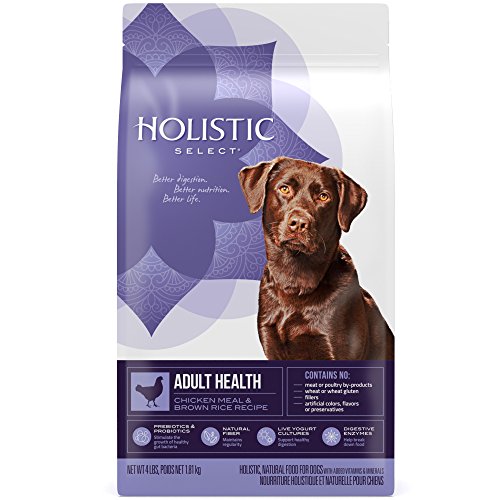 Holistic Select® Adult Health Chicken Meal & Rice Recipe Dog Food