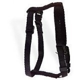 Figure "H" Adjustable Cat Harness-Black