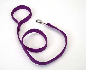 Coastal Double-Ply Dog Leash 1"-Purple