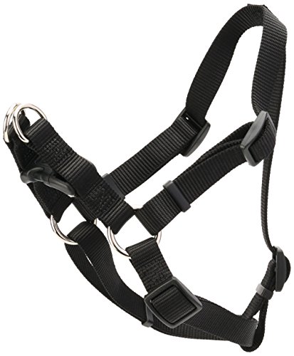 Coastal Pet Products Comfort Wrap Adjustable Dog Harness, Black