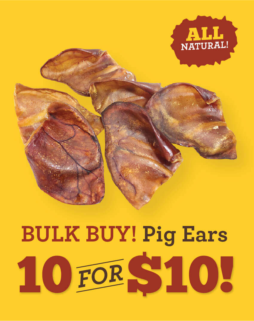 10 for Dollar 10 Pig Ears