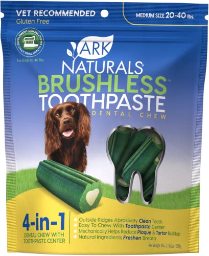 Brushless Toothpaste, Medium,