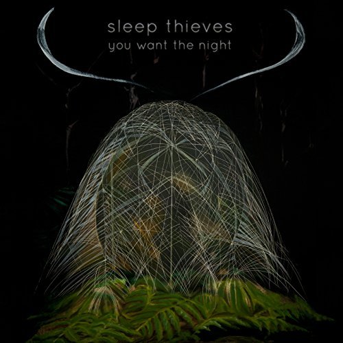 Sleep Thieves/You Want The Night
