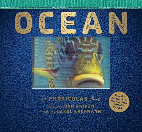 Dan Kainen/Ocean@ A Photicular Book